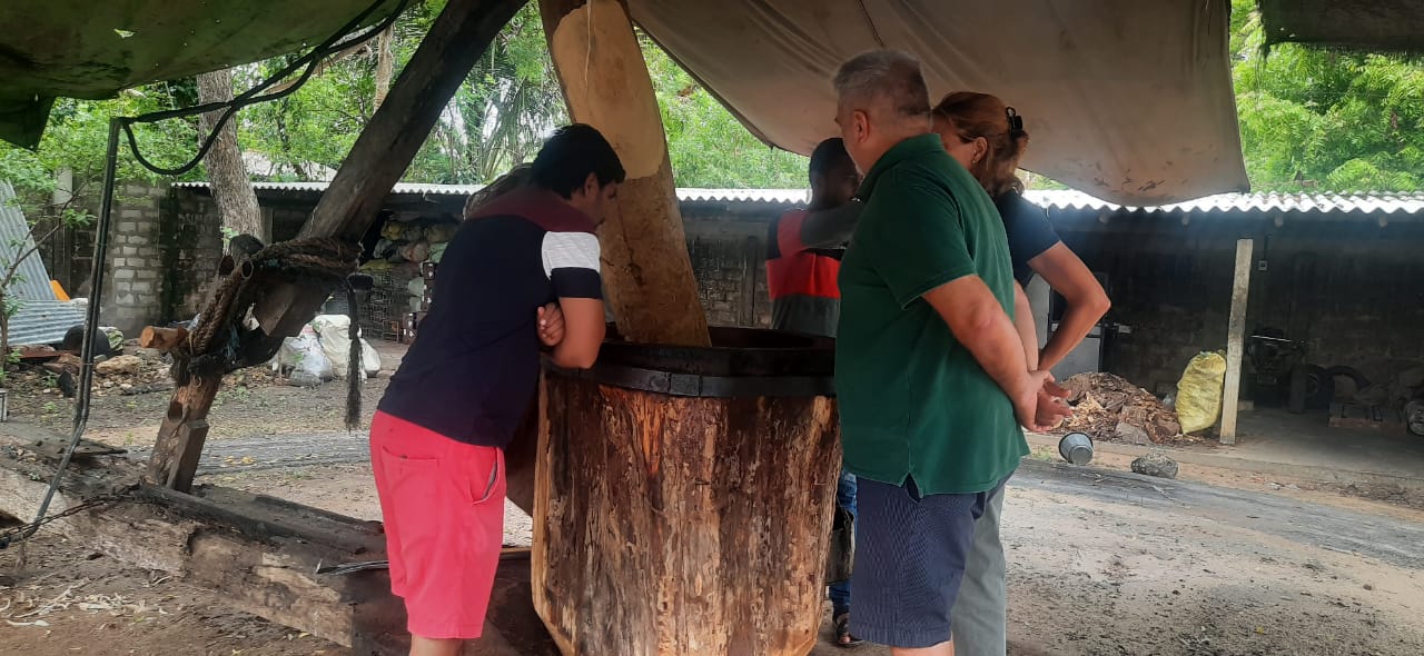 Sesame oil Extraction