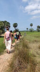 Exploring Sri Lanka: A Comprehensive Guide to Local Tourist Providers